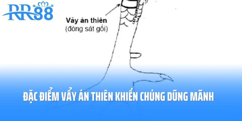 Đặc điểm nổi bật của Vẩy Án Thiên khiến chúng trở nên dũng mãnh